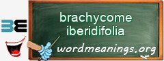 WordMeaning blackboard for brachycome iberidifolia